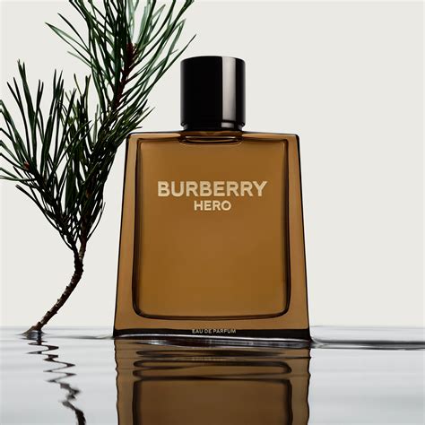 best burberry men's fragrance|burberry perfume original for men.